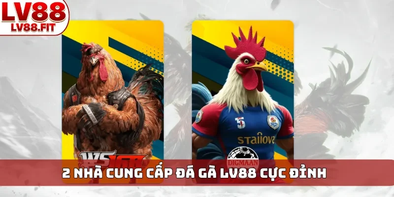 2 nhà cung cấp đá gà LV88 cực đỉnh