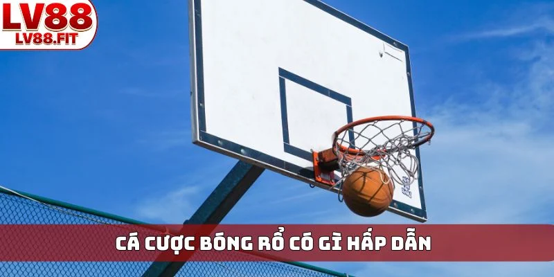 Cá cược bóng rổ có gì hấp dẫn