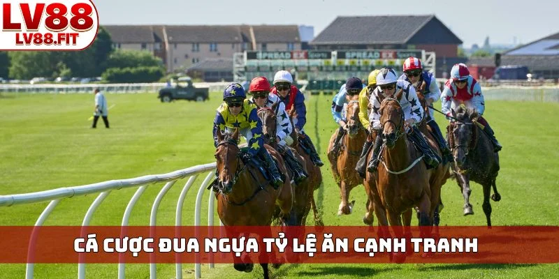 Cá cược đua ngựa tỷ lệ ăn cạnh tranh