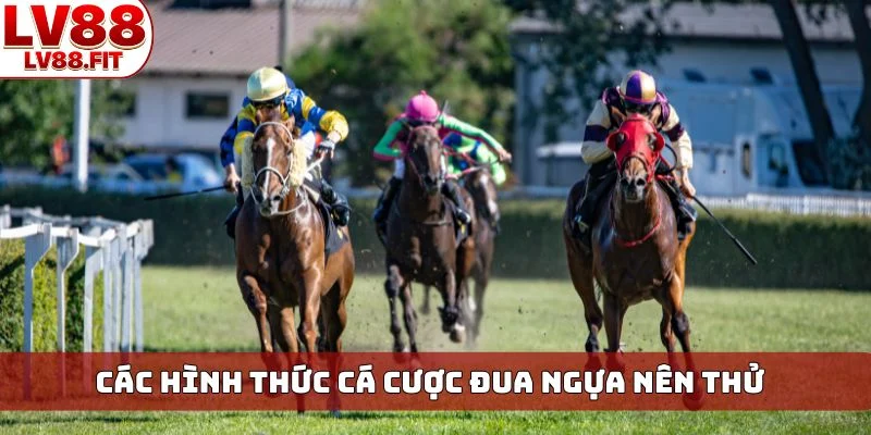 Các hình thức cá cược đua ngựa nên thử