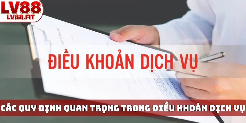 Các quy định quan trọng trong điều khoản dịch vụ