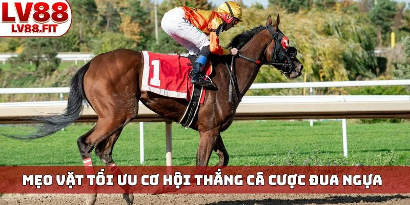 Mẹo vặt tối ưu cơ hội thắng cá cược đua ngựa